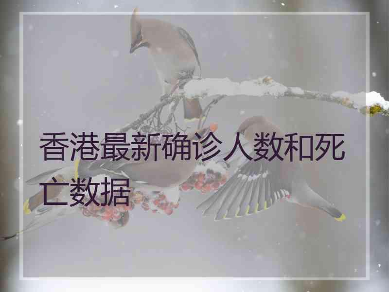 香港最新确诊人数和死亡数据