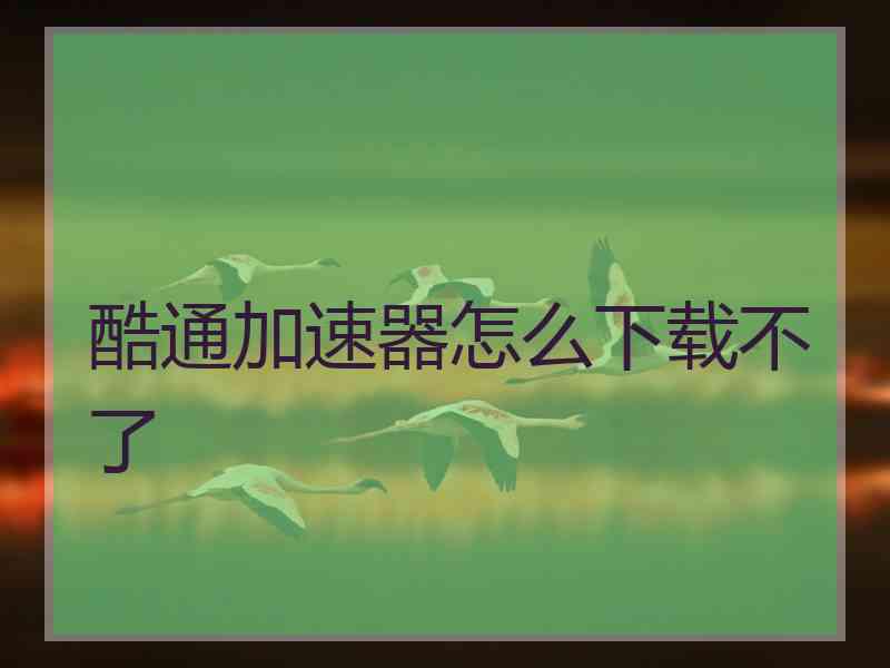 酷通加速器怎么下载不了
