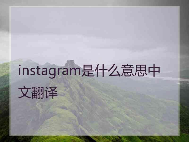 instagram是什么意思中文翻译