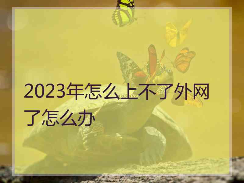 2023年怎么上不了外网了怎么办