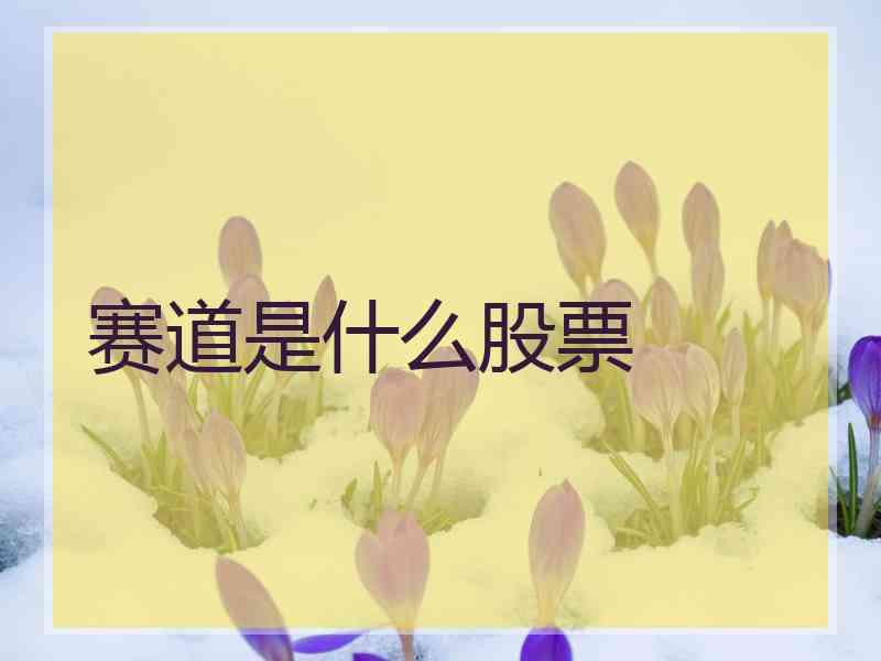 赛道是什么股票
