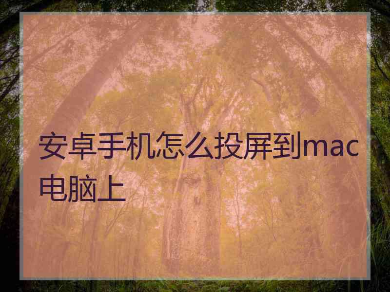 安卓手机怎么投屏到mac电脑上
