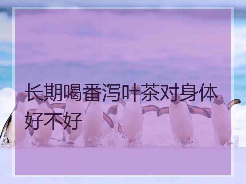 长期喝番泻叶茶对身体好不好