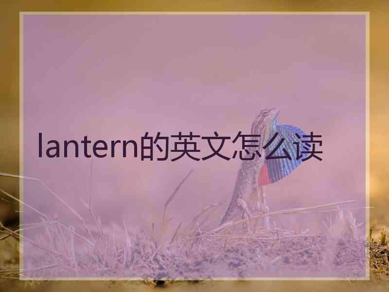 lantern的英文怎么读