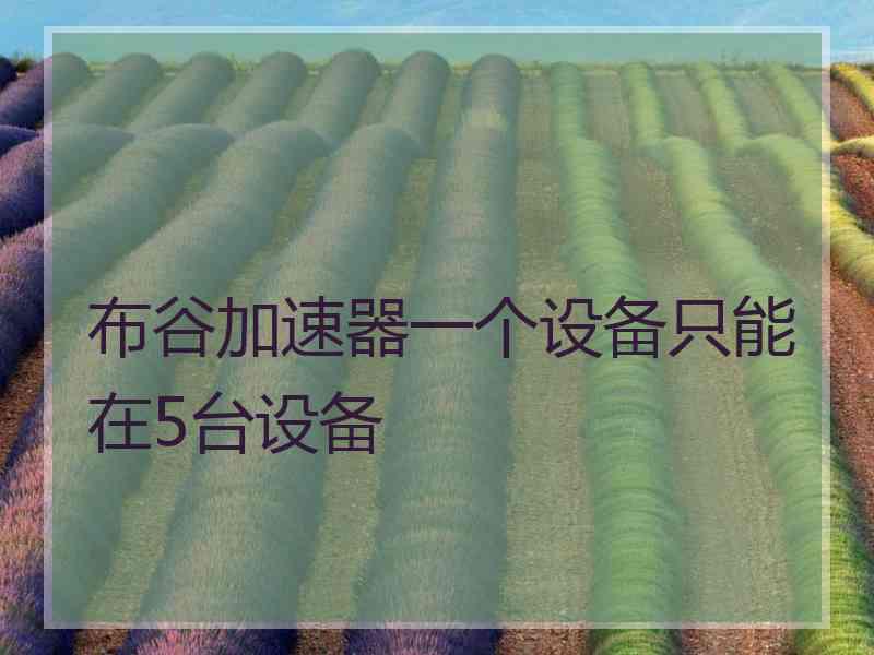 布谷加速器一个设备只能在5台设备