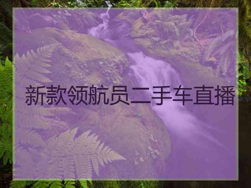 新款领航员二手车直播
