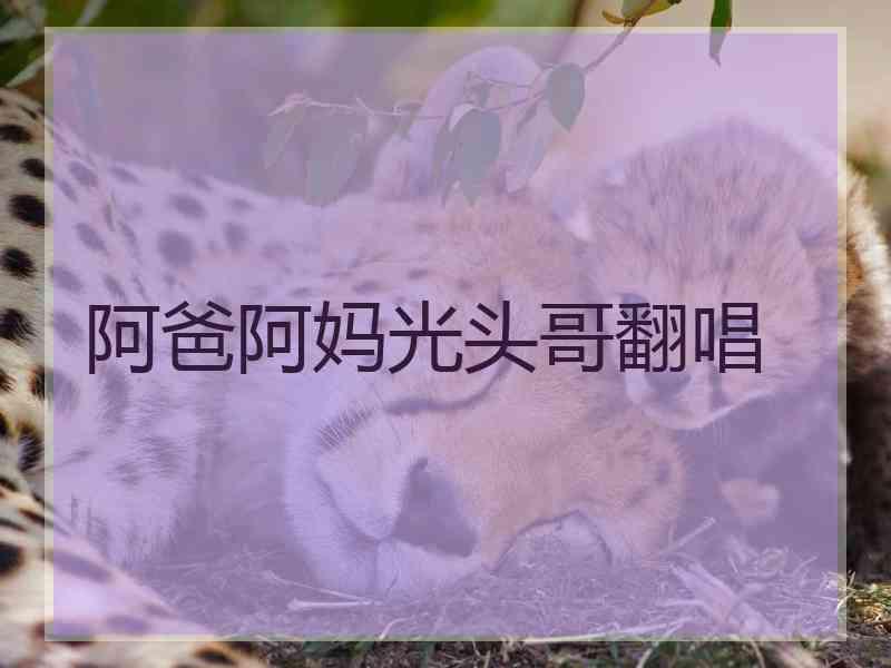 阿爸阿妈光头哥翻唱