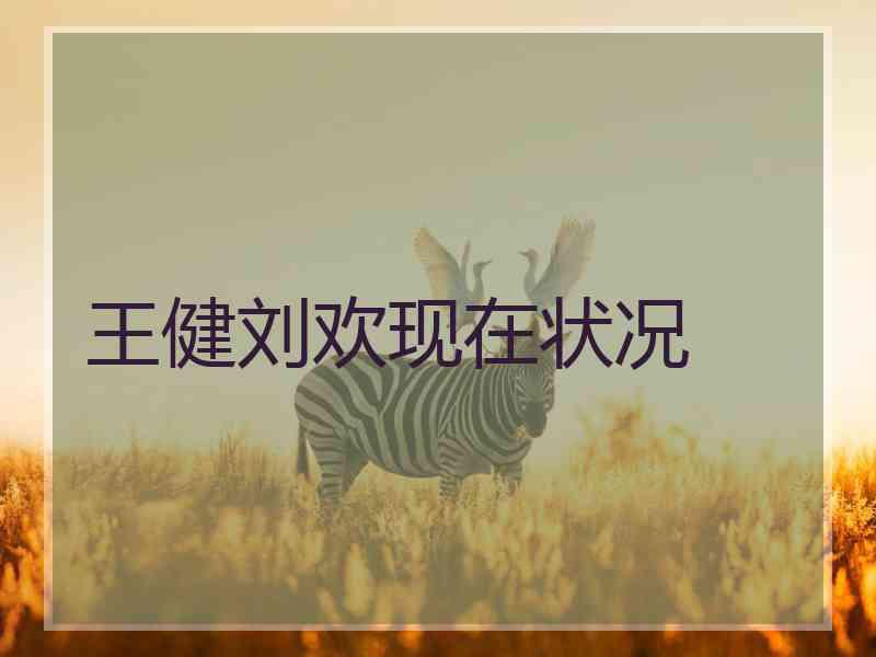 王健刘欢现在状况