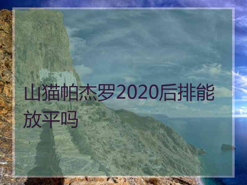 山猫帕杰罗2020后排能放平吗