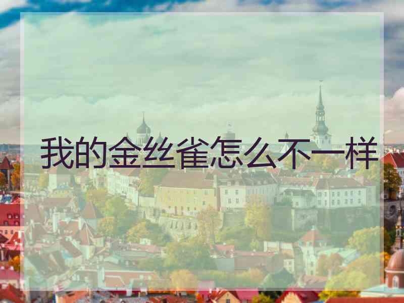我的金丝雀怎么不一样