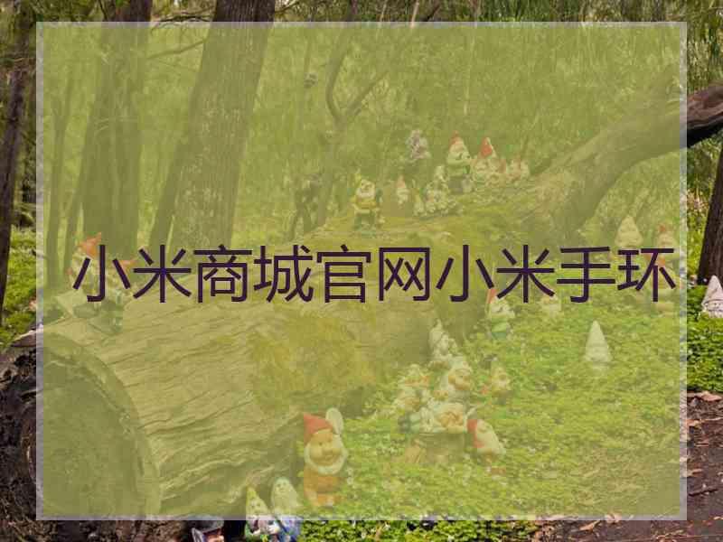 小米商城官网小米手环