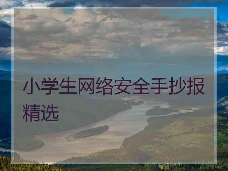 小学生网络安全手抄报精选