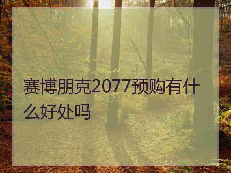 赛博朋克2077预购有什么好处吗