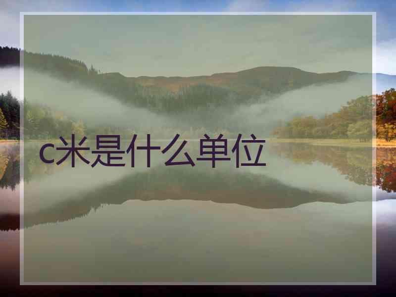 c米是什么单位