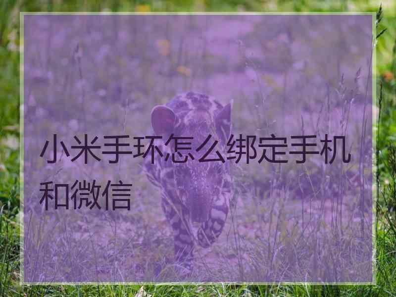 小米手环怎么绑定手机和微信