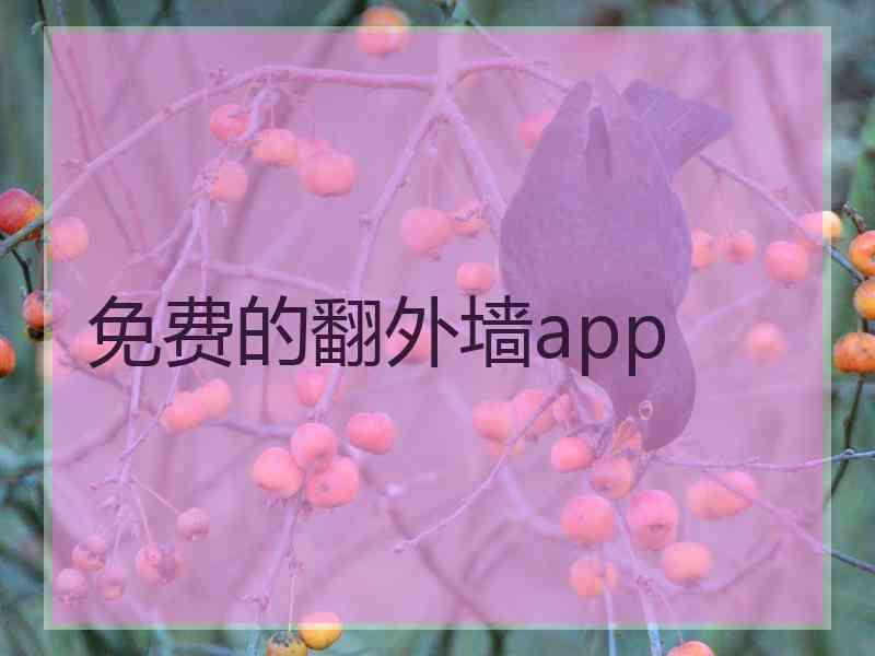 免费的翻外墙app