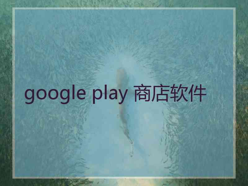 google play 商店软件