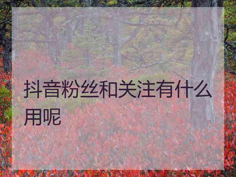 抖音粉丝和关注有什么用呢