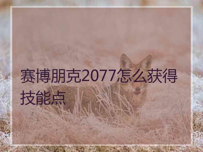 赛博朋克2077怎么获得技能点